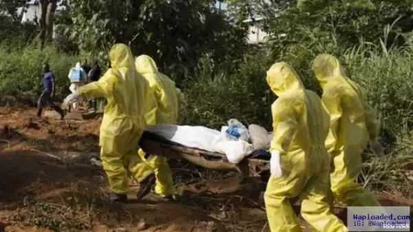 Lassa Fever Outbreak In Nigeria: 101 Deaths Recorded